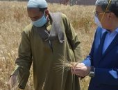 صور.. حصاد القمح بمركز ديرمواس تمهيدا لتوريده للصوامع والشون فى المنيا