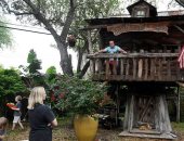 طبيب أمريكى يتخذ منزلا على هيئة شجرة لعزل نفسه عن أطفاله.. صور