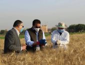 صور.. وزير التعليم العالى ورئيس جامعة بنها يتفقدان المزارع الإنتاجية بمشتهر