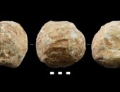 كرات حجرية عمرها 2 مليون سنة استخدمها الإنسان.. تعرف على السبب