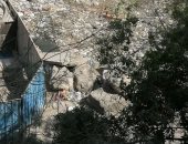 شكوى من انتشار القمامة بترعة الزمر بالجيزة والأهالى يطالبون تغطيتها 