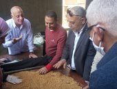 فيديو وصور .. صوامع الغربية تستقبل القمح من المزارعين فى طنطا 