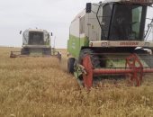 "الزراعة" تتابع حصاد القمح بمشروع غرب المنيا وتعلن توريد 120 طنا للصوامع