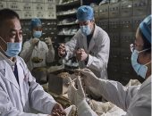 ارتفاع عدد الوفيات بفيروس كورونا فى إيران إلى 5574 عقب تسجيل 93 وفاة جديدة