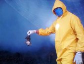 فى 20 صورة.. كيف تواجه المنيا الخفافيش بالمنزل المهجور فى سمالوط؟