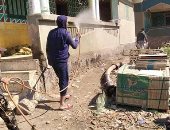 لمواجهة كورونا.. شباب قرية فرج الشامى بكفر الشيخ يطهرون القرية يومياً