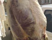 ضبط 203 كيلو لحوم فاسدة بالشرقية وسحب عينات من نصف طن كبدة وأسماك