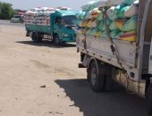 توريد 54 ألفا و705 أطنان من محصول القمح في صوامع الشرقية
