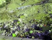 شكوى من انتشار القمامة بجوار حدائق الأهرام طريق الواحات