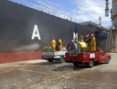 ميناء الإسكندرية يواصل تطهير وتعقيم السفن والأرصفة لمواجهة كورونا