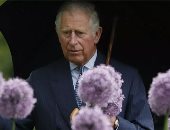 الأمير هارى يزور والده الملك تشارلز بعد تشخيص إصابته بالسرطان