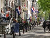 السعادة قرار.. هولنديون يحتفلون بـ"يوم الملك" فى المنازل رغم الحظر
