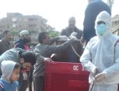 صور.. شباب يتطوعون لتطهير شوارع قرى بالغربية للحد من انتشار كورونا