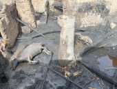 صور ..ماس كهربائى يحرق 3 بيوت بجزيرة بسوهاج يصعب وصول المطافى لها