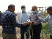 رئيس جامعة المنيا يتفقد حصاد محصولى القمح والفول بـ"شوشة" .. صور