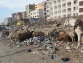 شكوى من تراكم القمامة ومخلفات بشارع ترعة بمنطقة بشتيل