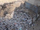 شكوى من انتشار القمامة بشارع الترعة بمنطقة باسوس
