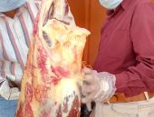 ضبط لحوم غير صالحة للاستهلاك الآدمى بسوهاج فى حملة لمديرية الطب البيطرى  