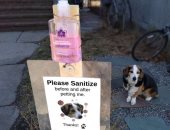 لو عاوز تلعب معاه عقم ايدك .. كلب يحصل على "محطة تعقيم" خاصة به