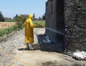 صور.. حملات تطهير مكثفة بنطاق حى العامرية بعد ظهور حالات إيجابية بإحدى القرى