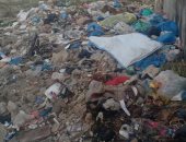 سيبها علينا.. شكوى من انتشار القمامة بشارع ابن عقيل المنتزة بالإسكندرية