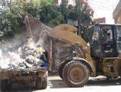 حملة لرفع القمامة وتطهير الشوارع بالمحلة الكبرى.. صور