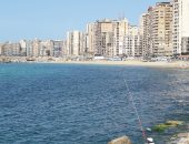 الطبيعة تتنفس على شواطئ الإسكندرية بعد شهر من الإغلاق بسبب كورونا.. فيديو