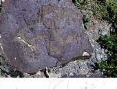 دراسة حديثة توضح سبب وجود فنون صخرية تعود إلى7 آلاف سنة بروسيا