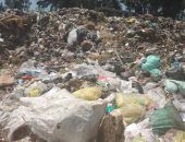 سيبها علينا.. انتشار القمامة بقرية مشال بالغربية يزعج الأهالى 