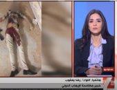 خبير: القائم بأعمال مرشد الإخوان العقل المدبر للعمليات الإرهابية بمصر