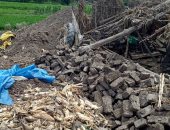 إزالة 5 حالات تعدى وتنفيذ 299 إزالة تعدى على أراضى أملاك الدولة بالمنوفية