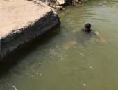 صور.. نهر النيل فى زفتى ملاذ الأطفال للهروب من حرارة الشمس فى نهار رمضان