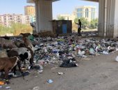 شكوى من انتشار القمامة بطريق السواح بين موقف عبود والمظلات