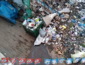 تراكم القمامة خارج الصندوق.. شكوى شارع الجارم برشيد محافظة البحيرة