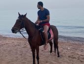 نجوم الكرة "أون لاين".. ربيعة يتحدى الملل بالكوتشينة.. كوكا يٌظهر اشتياقه لمصر على طريقة الفرسان..تدريبات بالفيديو تجمع تريزيجيه وعواد.. وصلة هزار بين سعد وبركات.. ساسي يواصل الاستعداد للدوري وعمر السعيد مُحاصر