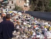صور.. تراكم القمامة بجوار نقطة الإدرة العامة للمرور بطريق طنطا القاهرة 