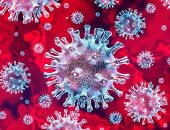 الصحة الإماراتية: تسجيل 553 إصابة جديدة بفيروس كورونا.. و9 وفيات
