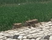 محافظ بني سويف: إزالة 30 حالة تعد على أرض زراعية في حملة مكبرة بالواسطى 