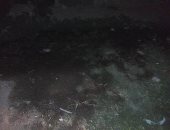 سيبها علينا.. قارىء يشكو انتشار مياه الصرف بشارع خالد بن الوليد بالسادات