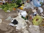 سيبها علينا.. شكوى من انتشار القمامة بمدينة كفر الشيخ