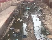 شكوى من سوء الصرف الصحى بقرية كفر ربيع مركز تلا بالمنوفية