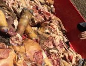 ضبط 500 كيلو لحوم غير صالحة للاستهلاك فى حملة على محلات الجزارة بسوهاج 
