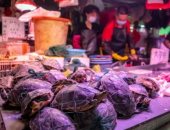 صحيفة بريطانية" تلقى الضوء على عودة أسواق بيع الحيوانات للعمل فى الصين 