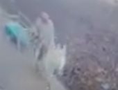 فيديو.. مّسن يلقى طفلة حديثة الولادة أمام منزل بسمنود ..فيديو