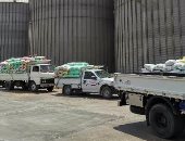 محافظ الشرقية: توريد 551935 طن قمح إلى الصوامع والشون