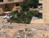 شكوى من انتشار الكلاب الضالة بالمجاورة الثالثة فى الحي الرابع بـ6 اكتوبر
