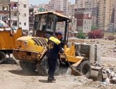 صور ..إستجابة لمبادرة "سيبها علينا"..رفع القمامة يوميا من قرية بالإسكندرية