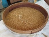 توريد 11800 طن و67 كيلو قمح للشون والصوامع بالأقصر.. صور