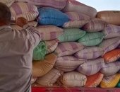 صور .. توريد 144 ألف و 38 طن قمح بصوامع وشون كفر الشيخ
