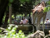 كنساس الأمريكية تعيد فتح حدائق الحيوان أمام الزوار بعد إلغاء إجراءات كورونا